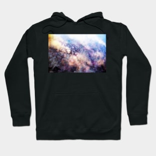 Fog burning Hoodie